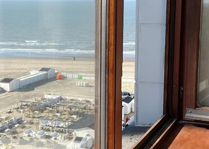 Brabo 7h Apartamento